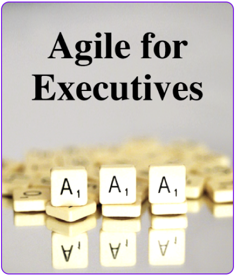 agile for executives