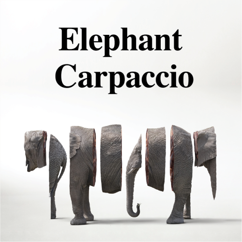 Elephant Carpaccio